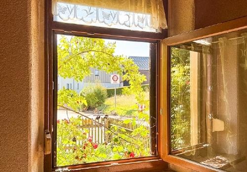 Blick aus dem Speisezimmer