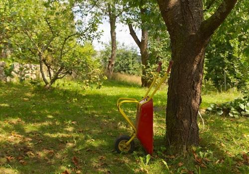 Impressionen Garten