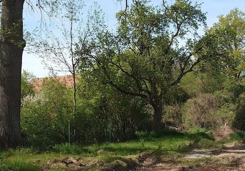 Blick Richtung Nordosten