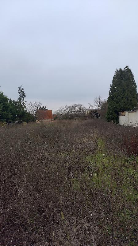 Baugrundstück Garten