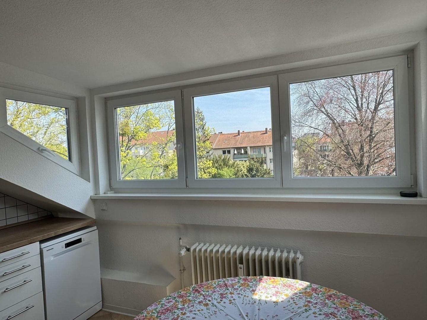 Blick Gaubenfenster nach Osten
