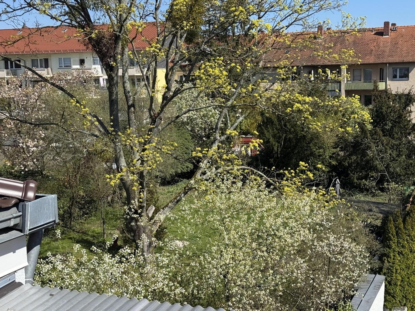 Blick nach Osten