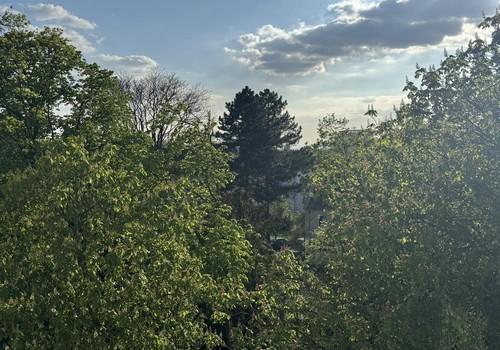 Blick nach Westen in den Park