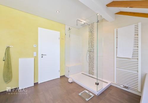 DG Badezimmer Blick Dusche