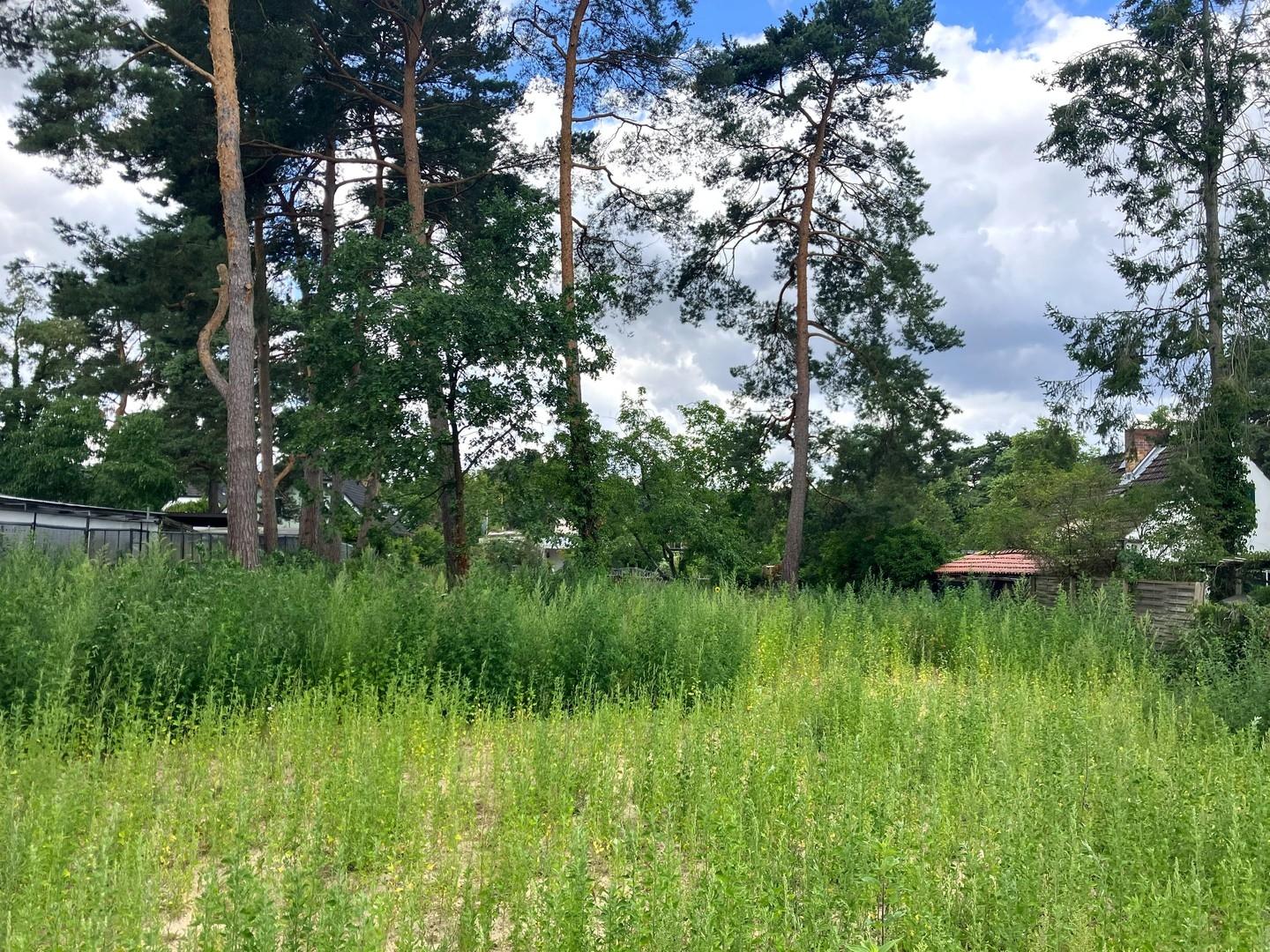 Blick auf hintere Parzelle