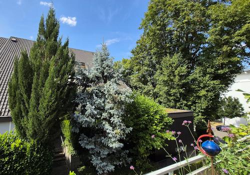 Blick vom Balkon
