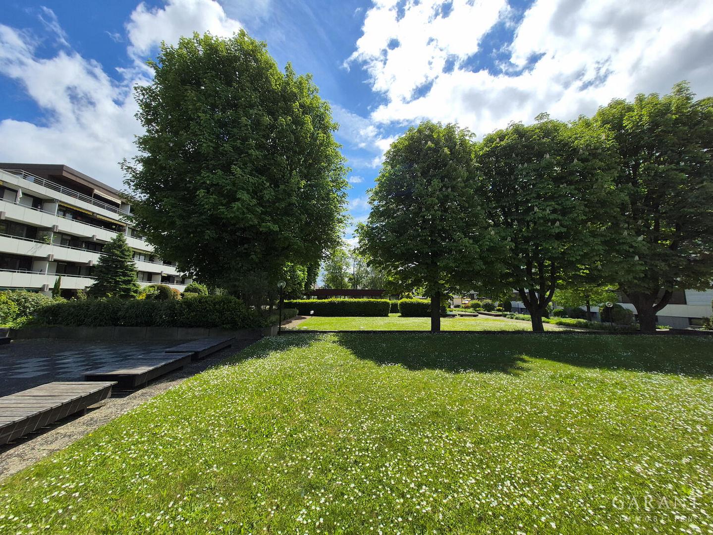 Blick in den Park