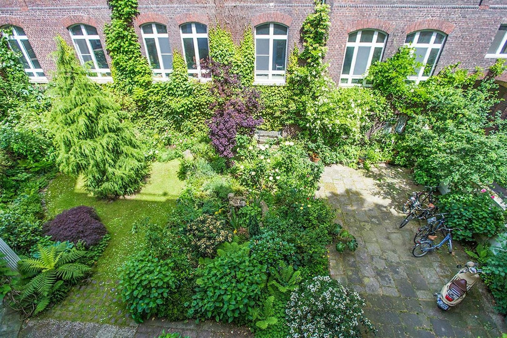 Blick in den Garten