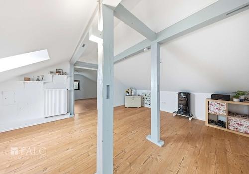 DG Studio