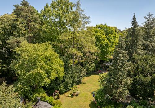 DJI_20250625132658_0031_D