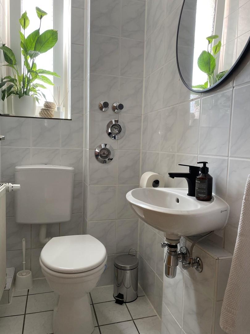separates WC