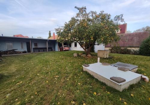 Garten mit Poolwanne