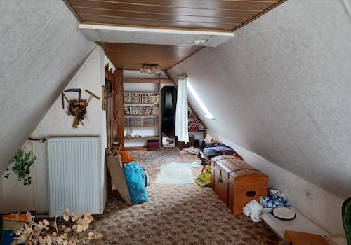 Bilder DG (3)