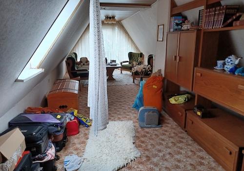 Bilder DG (4)