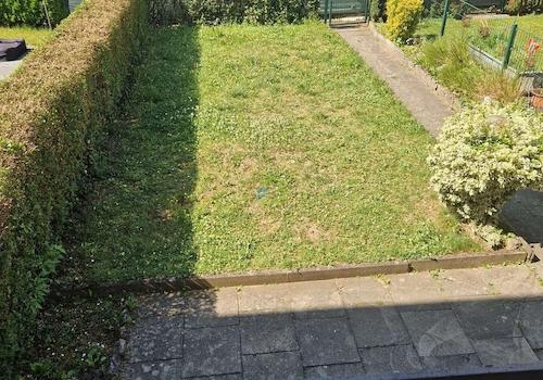 Blick in den Garten