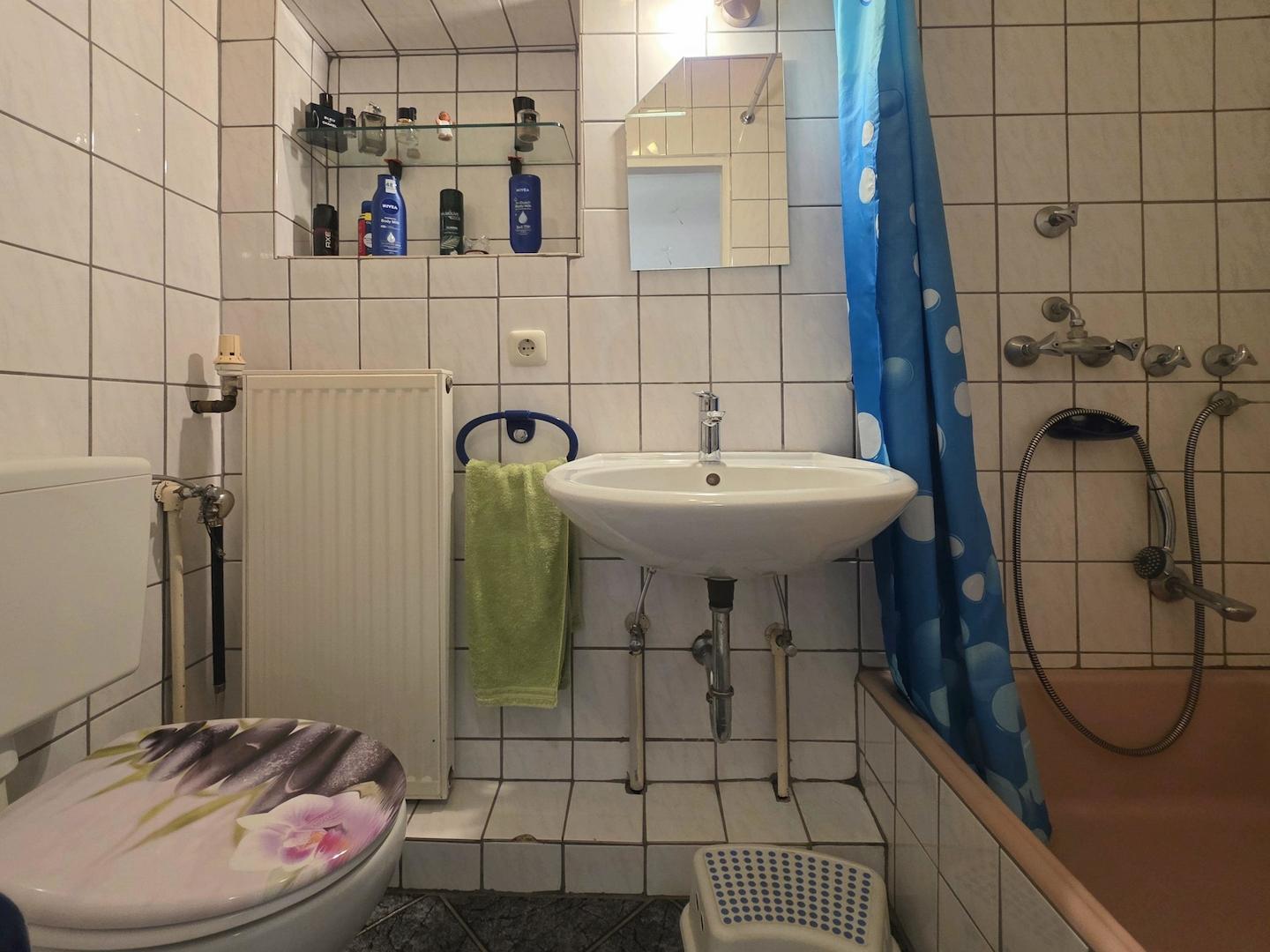 Kleines Duschbad DG