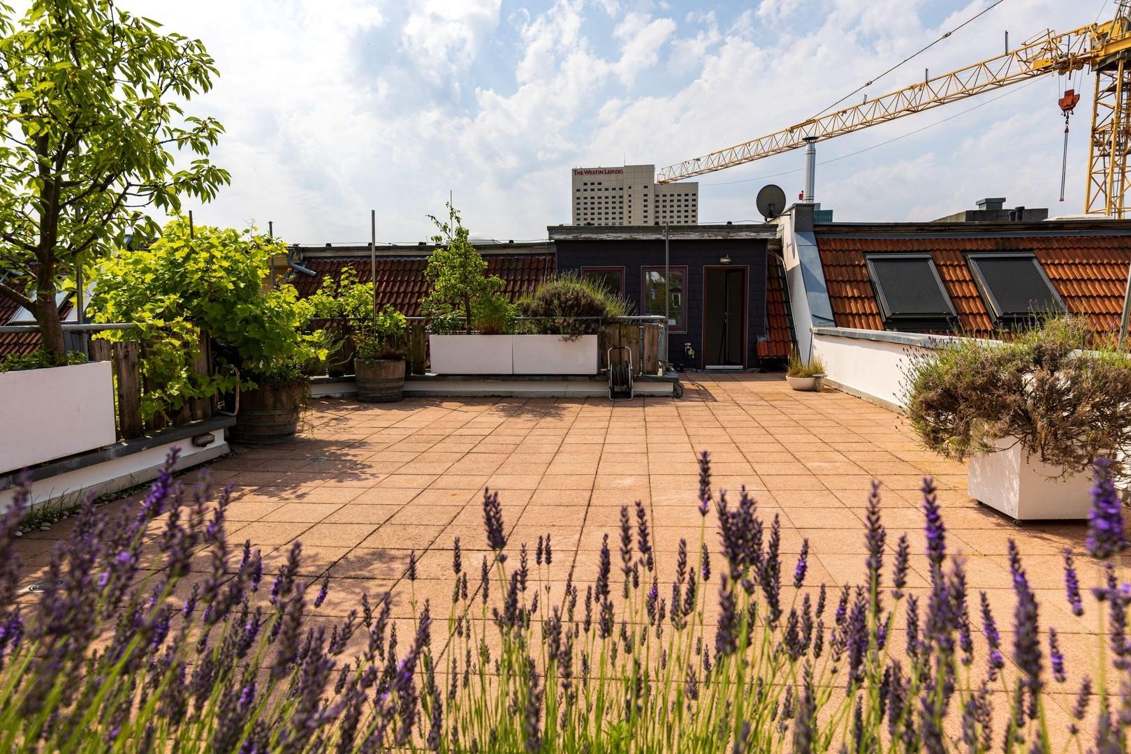 Dachterrasse
