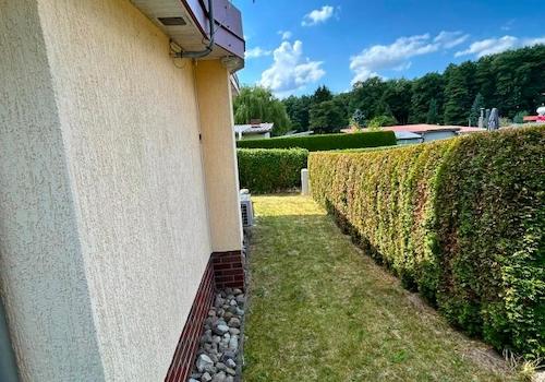 Bild...