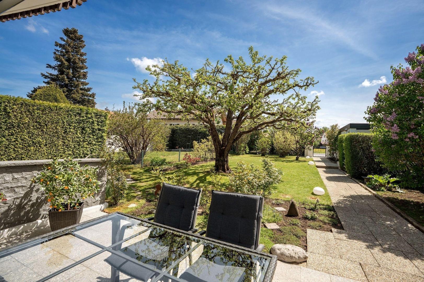 Blick von der Südterrasse
