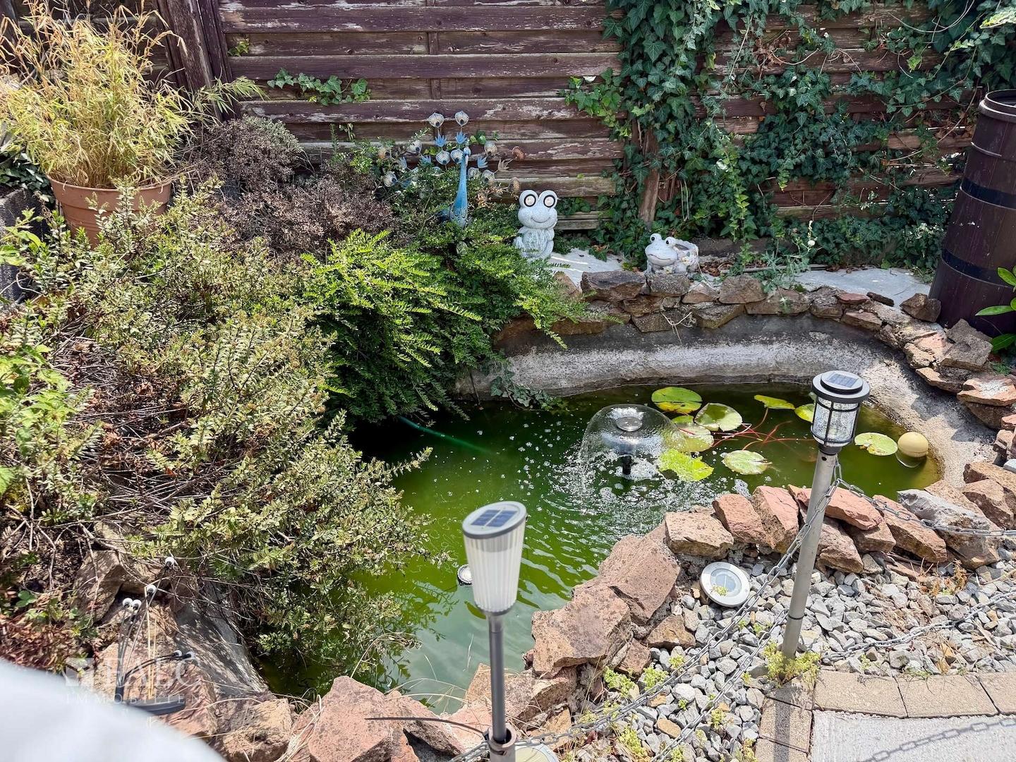 Garten mit Teich