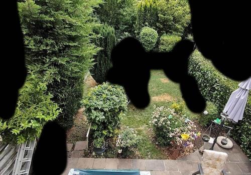 Garten hinter dem Haus