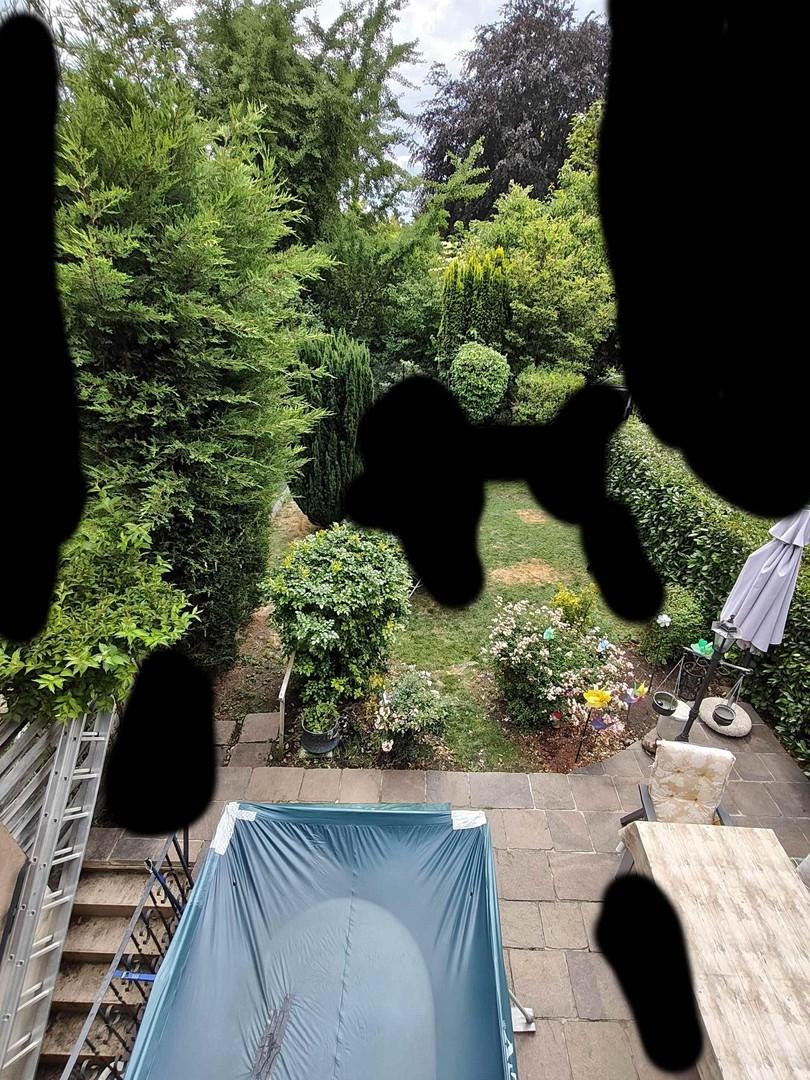 Garten hinter dem Haus