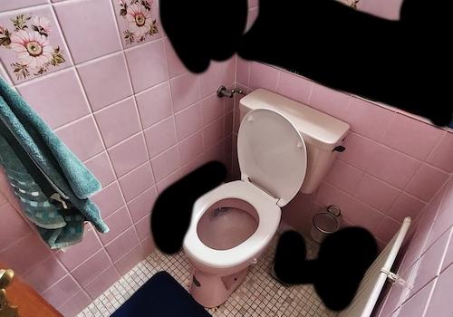 Gästetoilette Erdgeschoss
