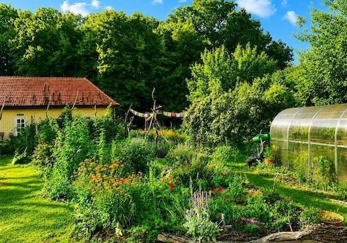 Saunahaus, Gemüsegarten