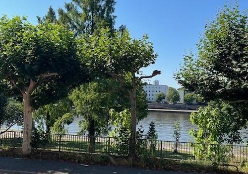 Mainblick