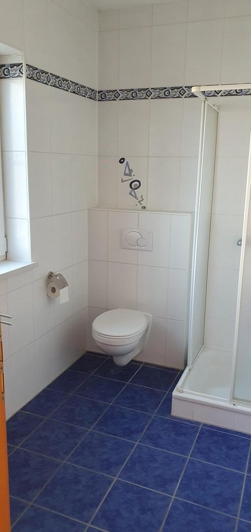 Gästebad unten mit Dusche