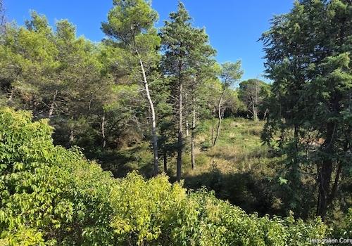 Piniendudft liegt in der Luft - Villa mit Pool und Meerblick in Zambratija