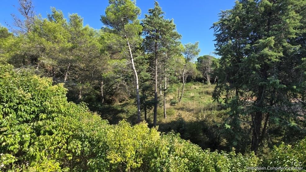 Piniendudft liegt in der Luft - Villa mit Pool und Meerblick in Zambratija
