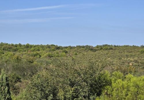 Piniendudft liegt in der Luft - Villa mit Pool und Meerblick in Zambratija