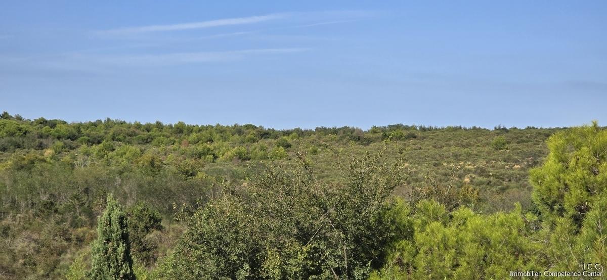 Piniendudft liegt in der Luft - Villa mit Pool und Meerblick in Zambratija