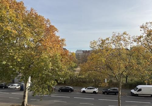 Der Ausblick
