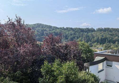 Blick vom Haus