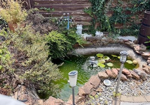 Garten mit Teich