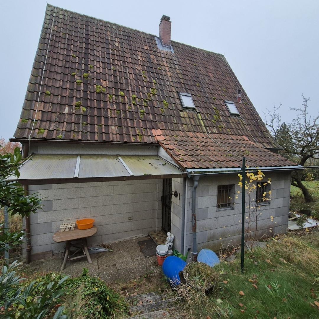 Rückseite