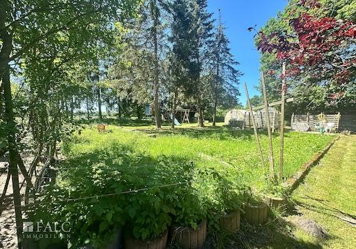 Garten - Leben in der Natur