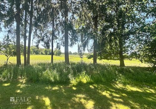 Ausblick hinter dem Garten