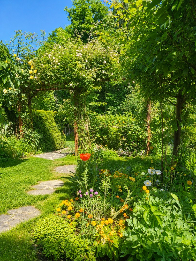 Garten1