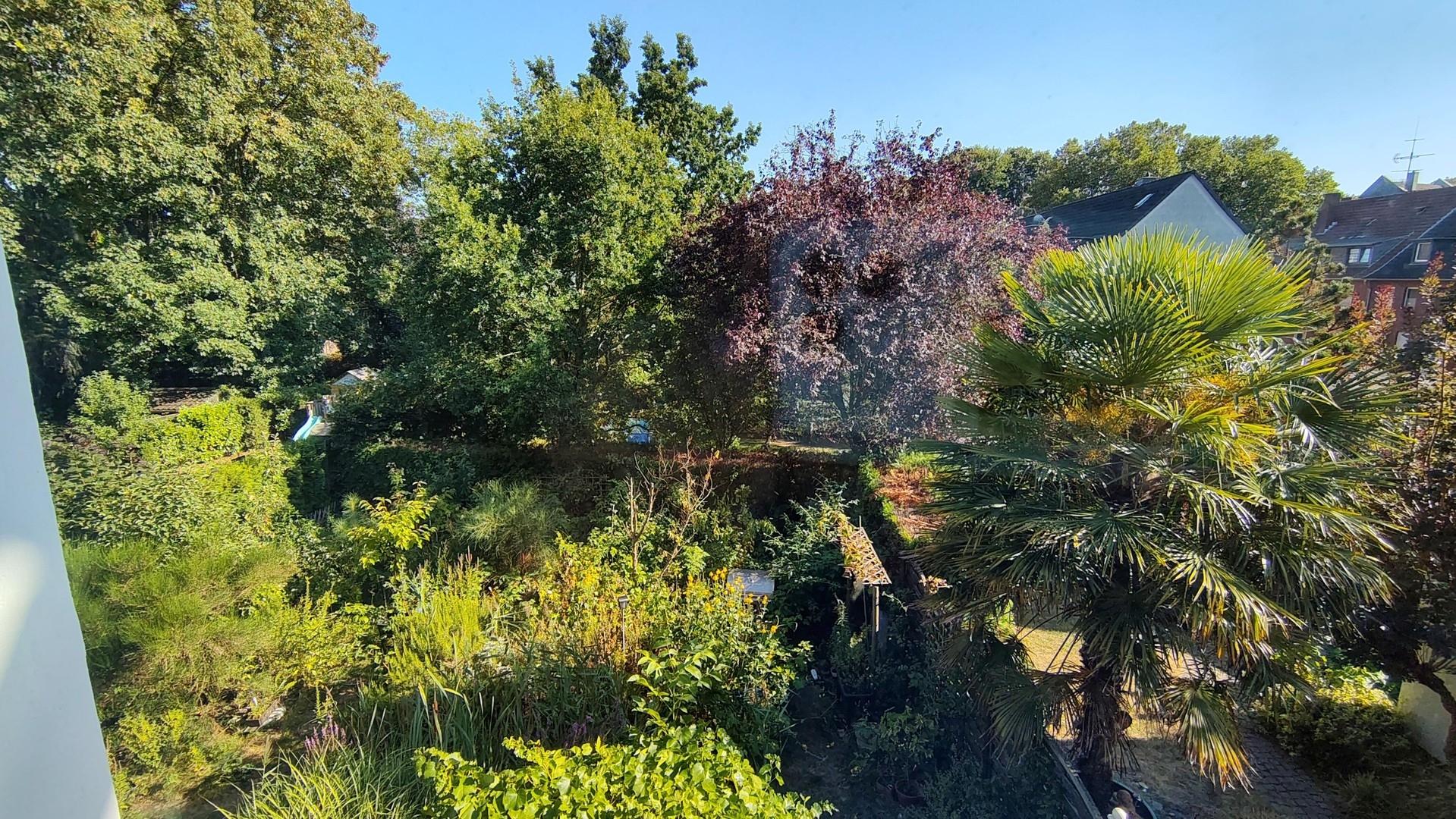 Aussicht Hausrückseite rechts