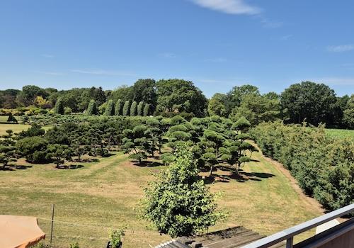 Blick auf die Baumschule