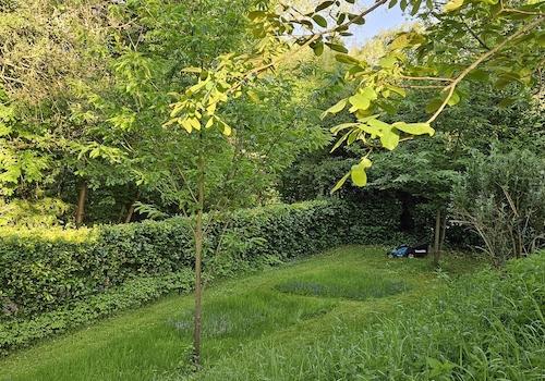 Garten