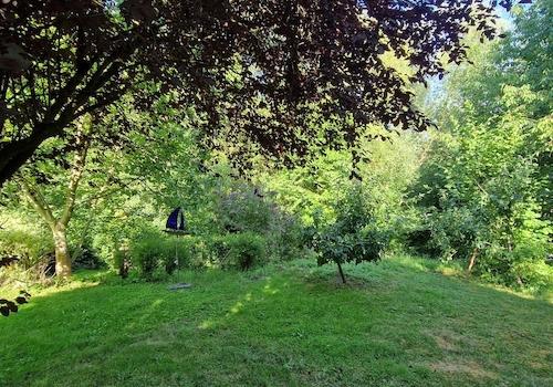 Im Garten