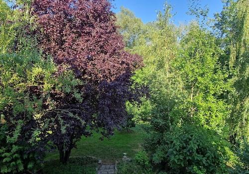 Blick aus dem Schlafzimmer