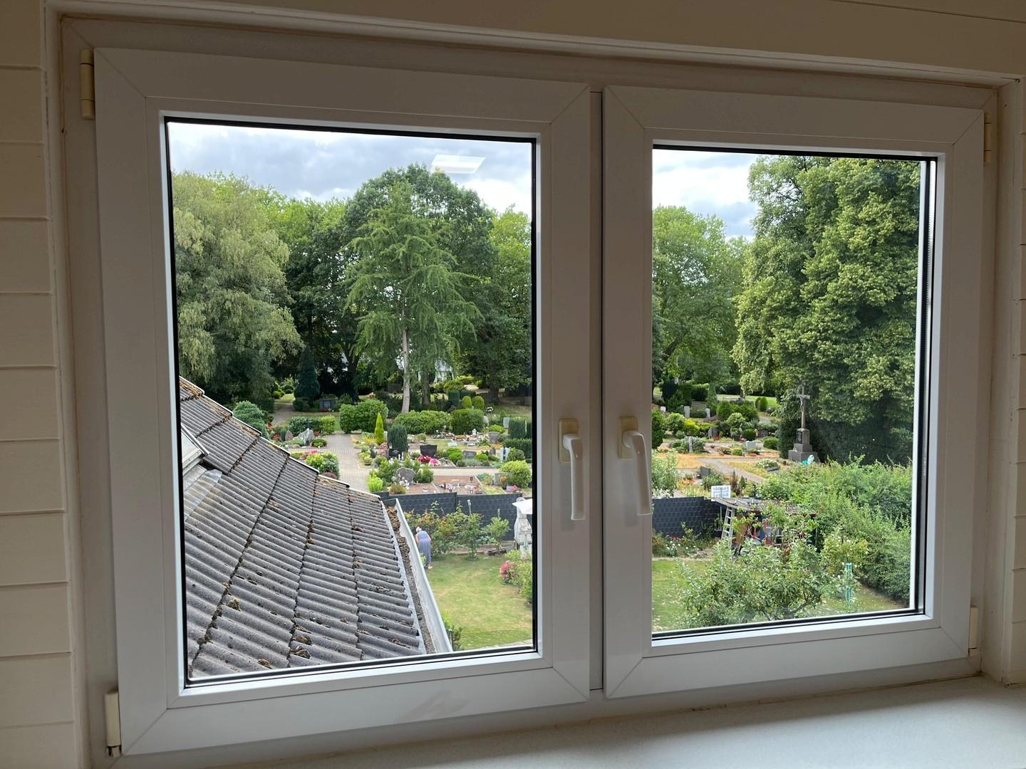 Blick in den Garten