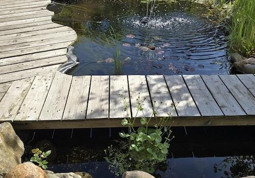 Teich und Terrasse