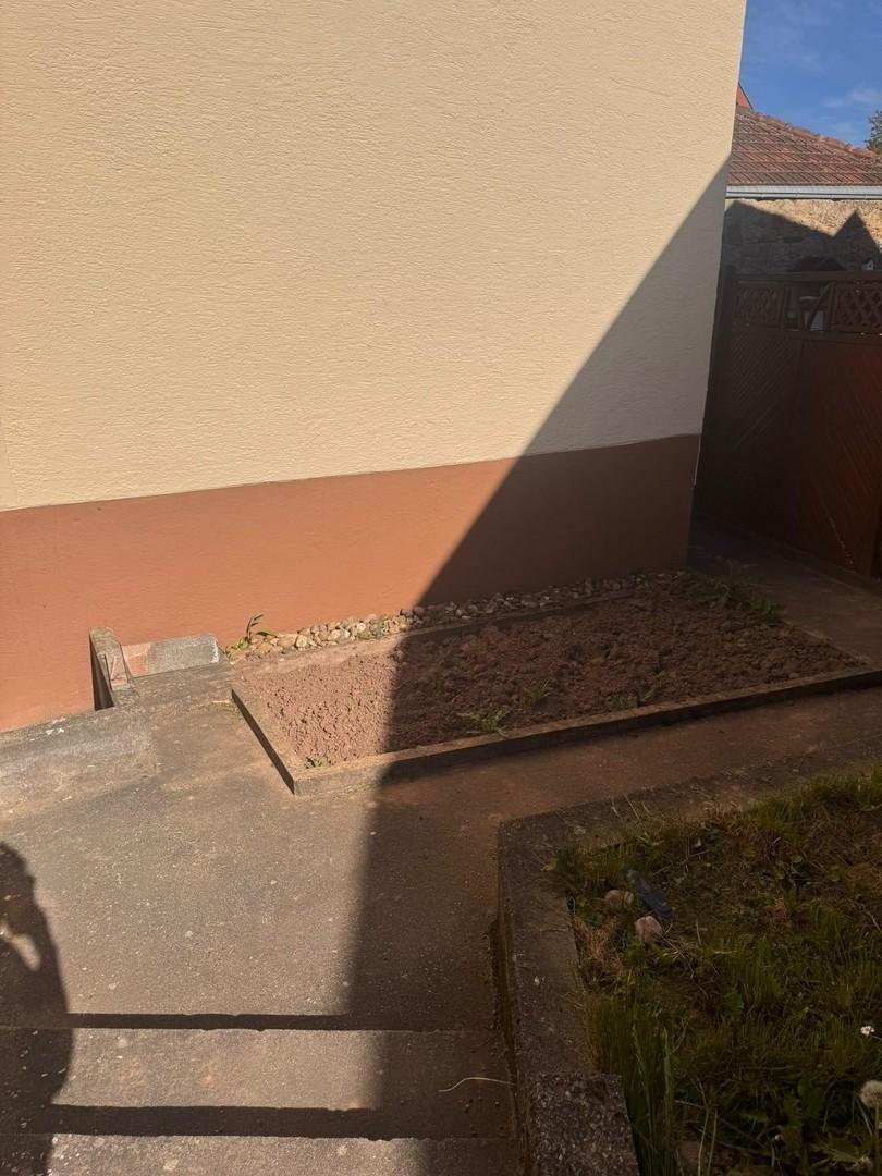 Kleiner Gemüsebereich
