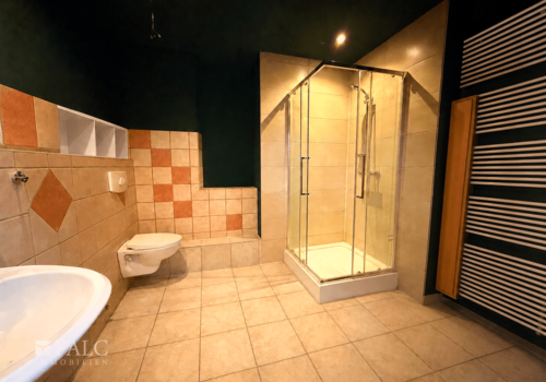 OG Wohnung 2 - Badezimmer